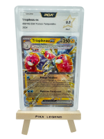Vente de cartes Pokemon TCG à Grenoble en Isère